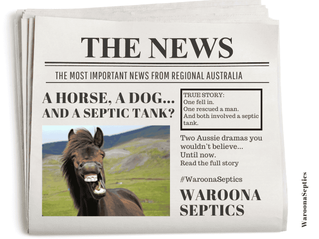 Home Unbelievable Septic Tank Stories